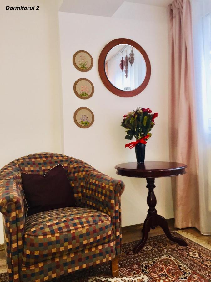 Apartament Veverite Slănic-Moldova Εξωτερικό φωτογραφία